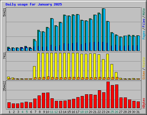 Daily usage for January 2025
