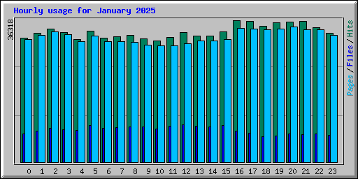 Hourly usage for January 2025