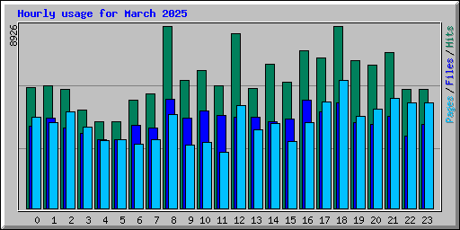 Hourly usage for March 2025